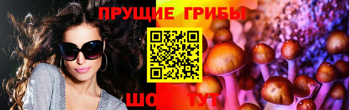 Галлюциногенные грибы GOLDEN TEACHER  Галлюциногенные грибы мухоморы  Дагестанские Огни  Вход с VPN 
